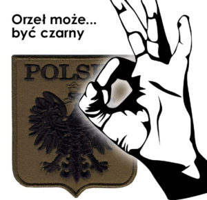 orzel-moze-byc-czarny