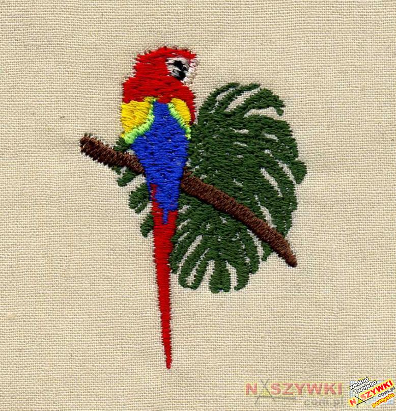 Papuga na gałęzi - haft komputerowy
